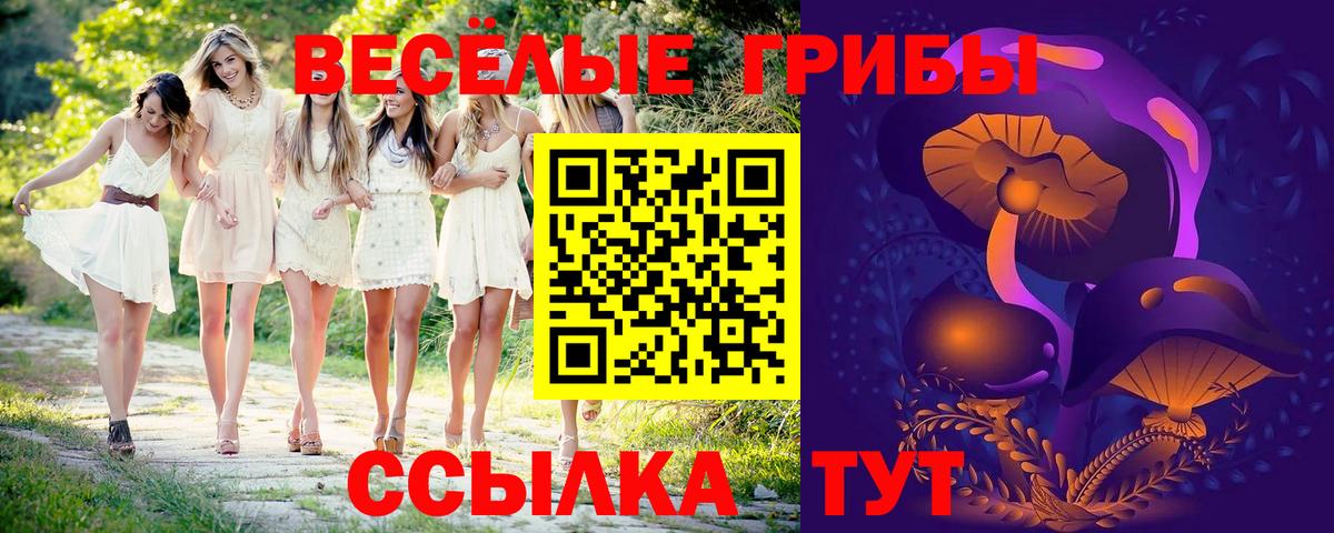 Галлюциногенные грибы GOLDEN TEACHER  Вход с VPN  Псилоцибиновые грибы Magic Shrooms  Северобайкальск 