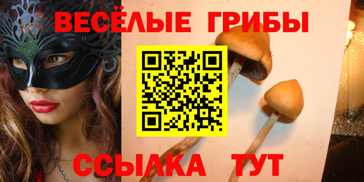 Галлюциногенные грибы прущие грибы Северобайкальск